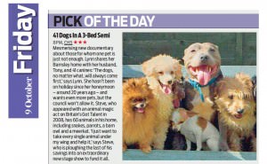 41Dogs-Daily-Mail