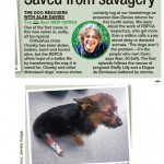 dog-rescuers-series-4-5-daily-mirror