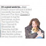 dog-rescuers-series-4-5-guardian-guide-13th-august-2016