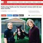 dog-rescuers-series-4-5-gloucestershire-live